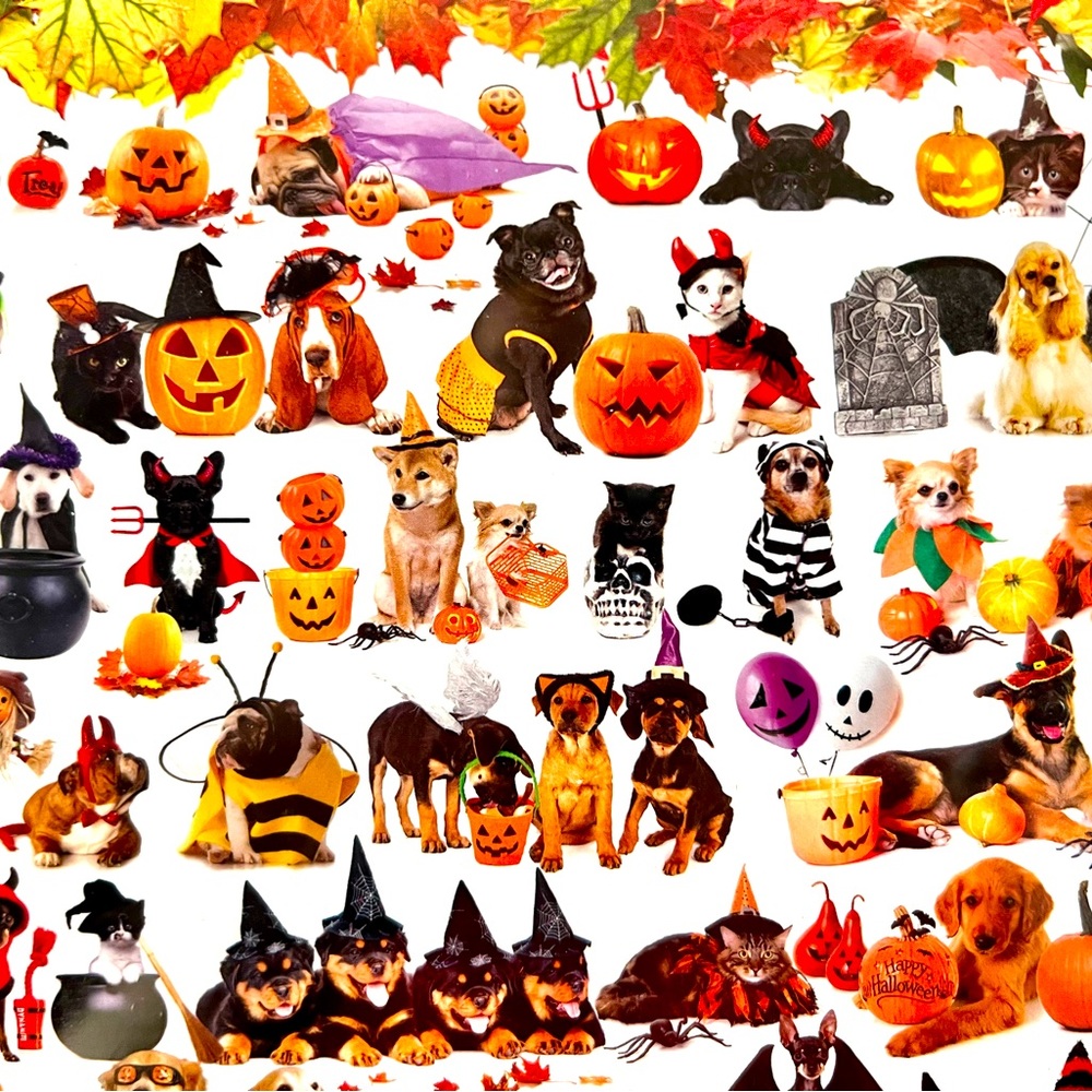 Halloween Pets 1000 piece Jigsaw Puzzle Cats Dogs in Costumes Wigs Pumpkins Hats